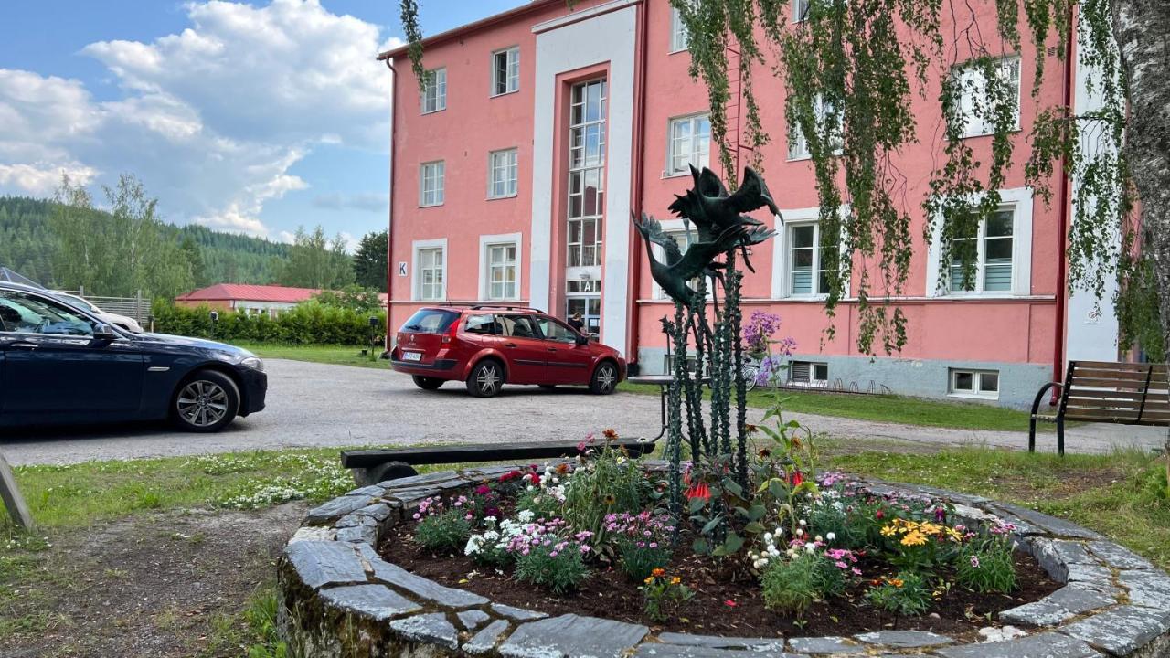 Vanha Koulu Suolahti Екстер'єр фото